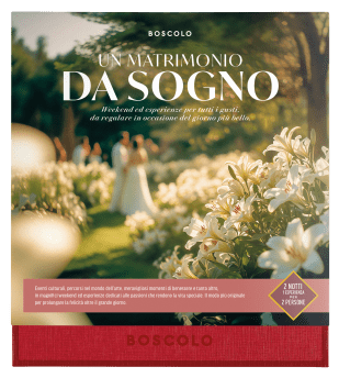 Un Matrimonio da Sogno